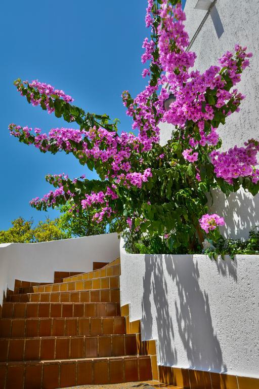 Bella Vista Apartments Crikvenica Εξωτερικό φωτογραφία